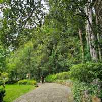 Exploring Scenic Views Heilongtan Park