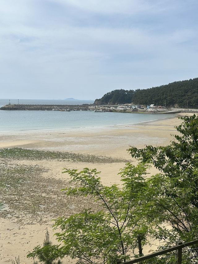 푸르른 숲길과 바다빛이 공존하는 치유의 정원, 힐링 산책 🌿🌊 