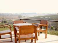 ไร่ชาฉุยฟง** คือสวรรค์ของคนรักธรรมชาติและชาเขียว 