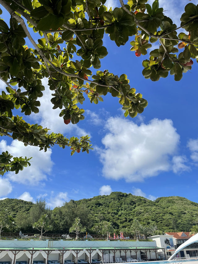 【沖縄】緑のオアシス🌴\沖縄の自然に1番近いリゾートホテル/