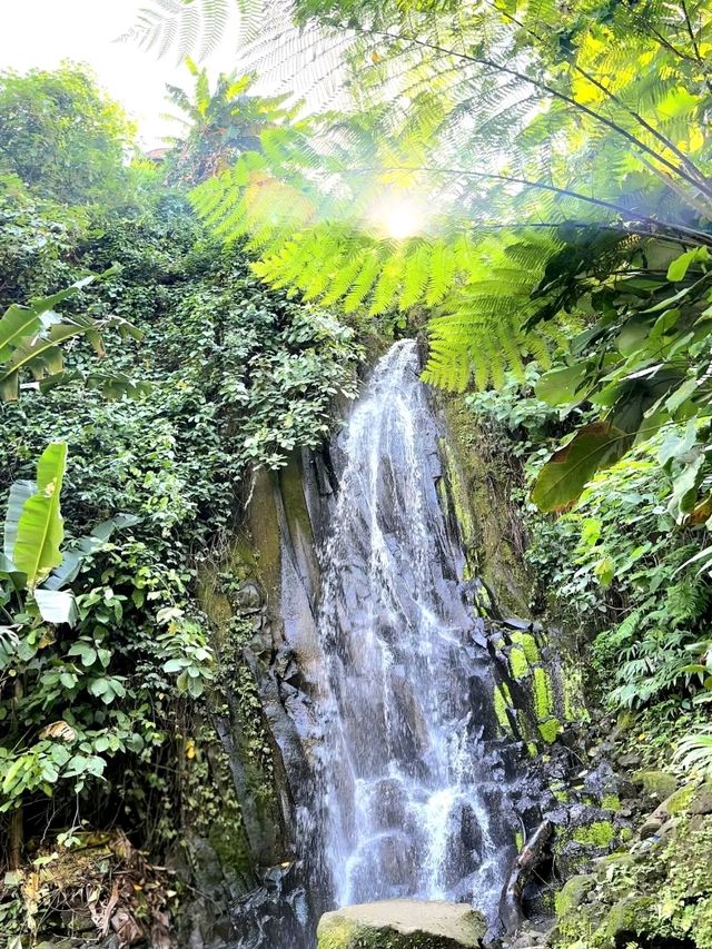 Chasing the Beauty of Tegenungan Waterfall Chasing the Beauty of Tegenungan Waterfall