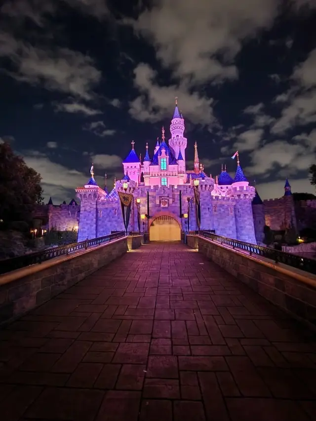 Magic and Memories at Disneyland