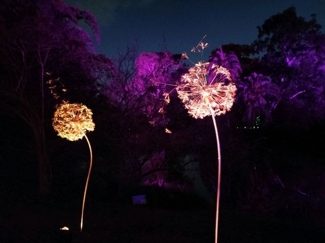 🎆Lightscape Part 1🎆