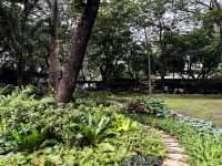 🇵🇭菲律賓馬尼拉阿亞拉三角公園