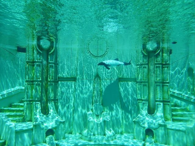 📍 아이들과 가기좋은 샌디에이고 씨월드 (SeaWorld San Diego)
