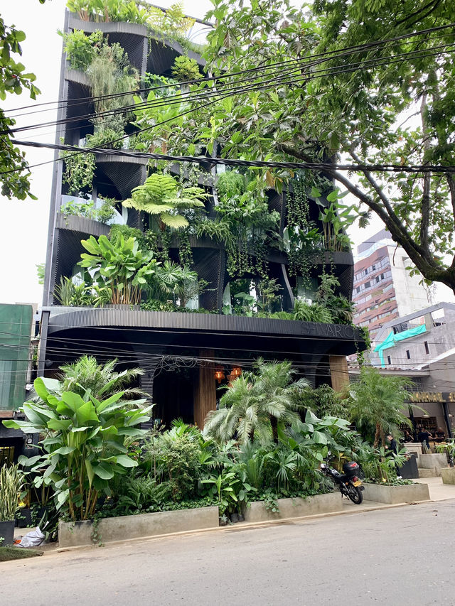 Medellín Beyond the Headlines: Exploring Comuna 13 & El Poblado