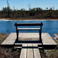 Breathe Deep: My Solo Recharge in Ķemeri National Park