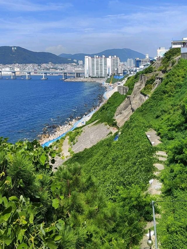 影島的絕影海岸散步路有時間絕對要來走一趟