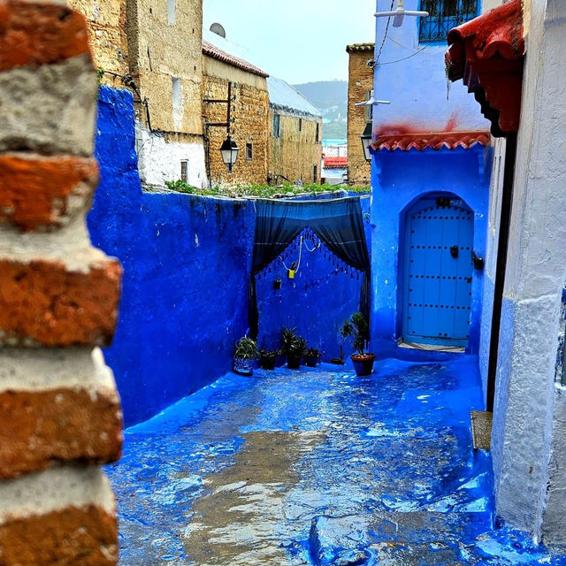 Into the Blue: My Solo Escape to Chefchaouen