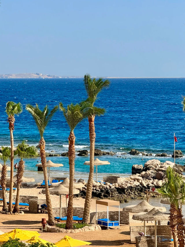 🩵 Red Sea coast is too beautiful!! Egypt 🇪🇬