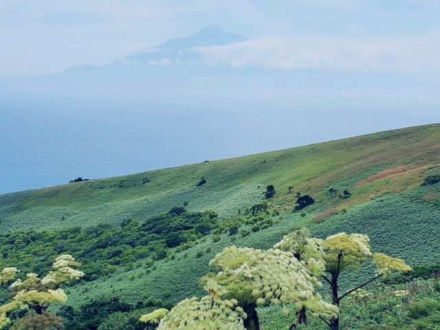 Rebun Island – Hokkaido’s Flower Island!