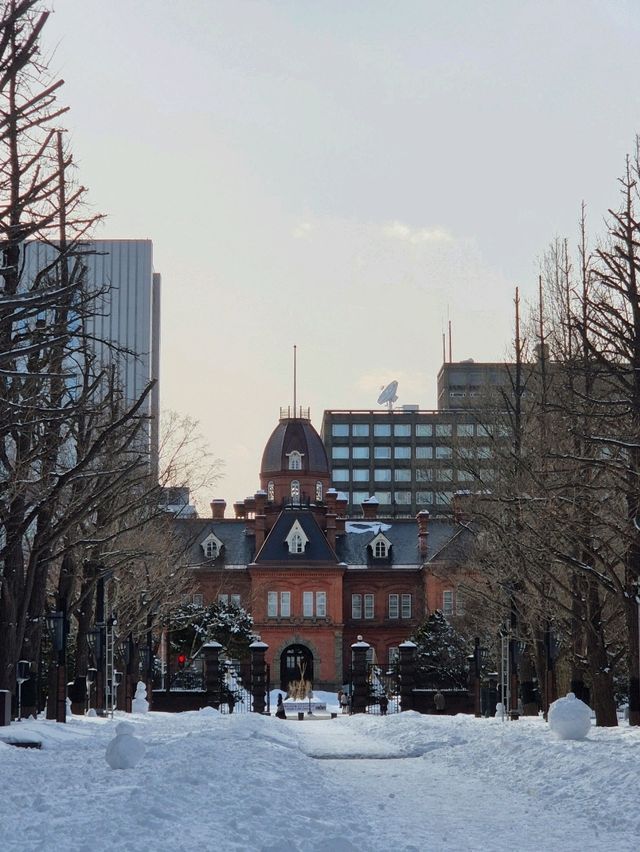 📸삿포로 중심지에서 사진찍기 좋은 곳 추천📸