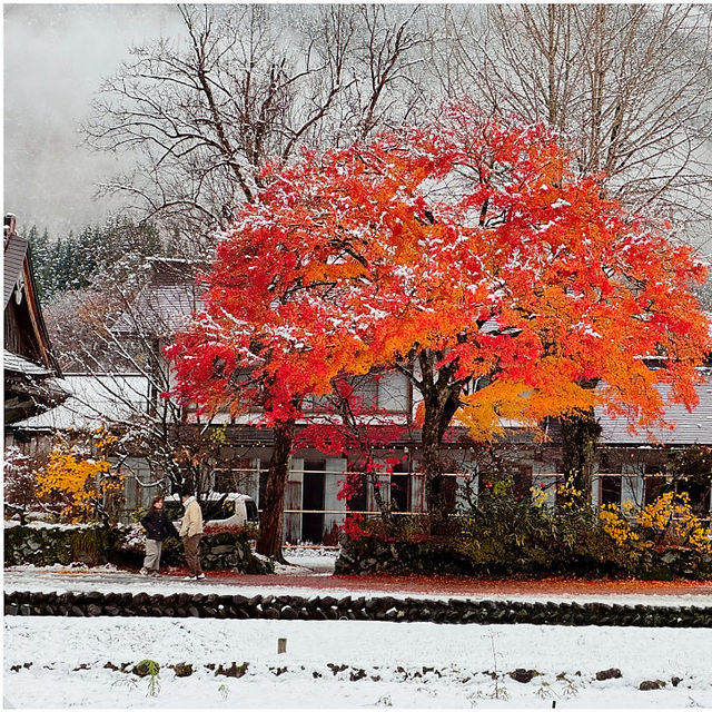 나고야, 3박 4일 끝장내는 여행코스