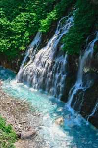 Blue Pond – Nature’s Enchanting Gem in Biei, Hokkaido 💙🌲