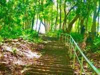 歷史見證的海防遺跡：Phairi Phinat Fort