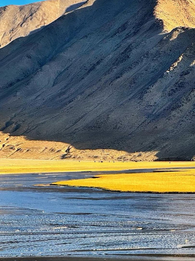 ✨ Southern Xinjiang – a symphony of mountains, grasslands, and endless skies ✨