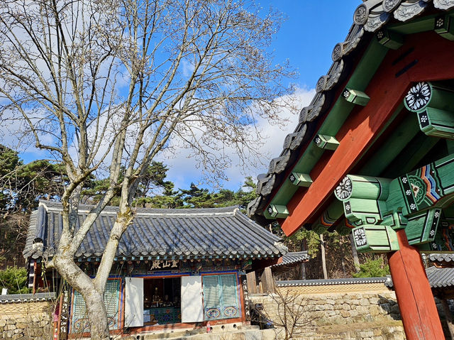 출렁다리의 짜릿함과 동화사의 고즈넉함 🌿