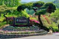 SUMMER MINI TOUR – Nami Island + Garden of Morning Calm (Day Trip from Seoul)