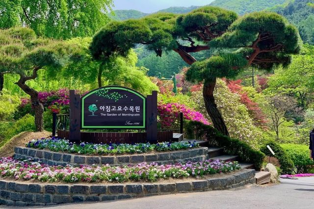 SUMMER MINI TOUR – Nami Island + Garden of Morning Calm (Day Trip from Seoul) SUMMER MINI TOUR – Nami Island + Garden of Morning Calm (Day Trip from Seoul)