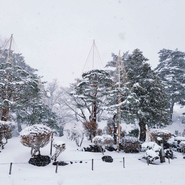ปราสาทนกกระเรียน ❄️ Tsuruga Castle