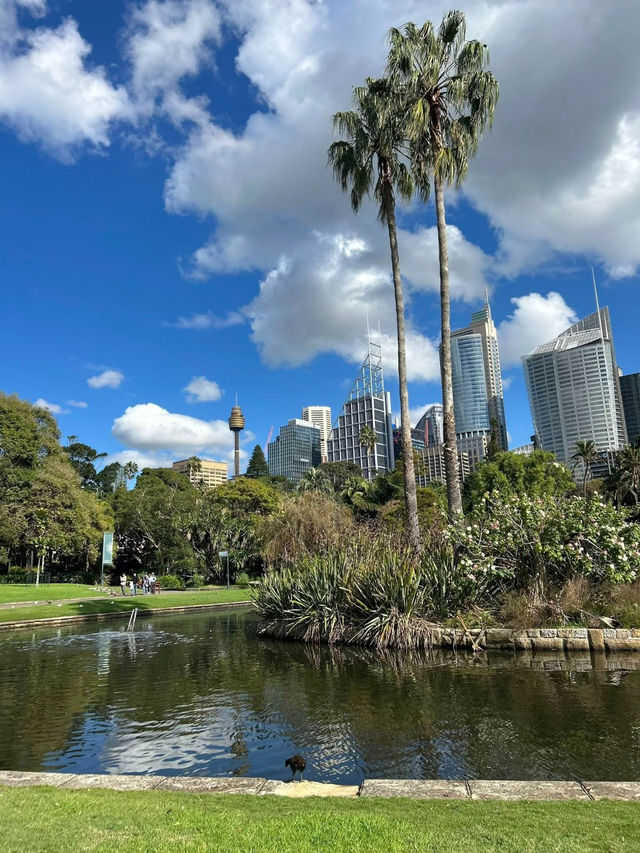 Breath of Fresh Air at Sydney’s Royal Botanical Gardens
