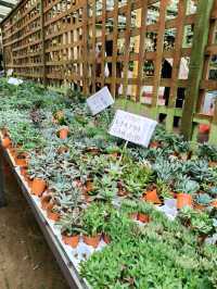Explore Fresh Vegetables @Agro Adventure Here🌾