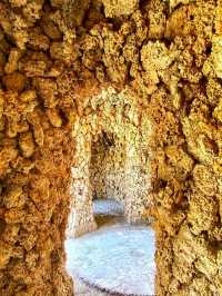 🏛️ Vizcaya Museum & Gardens – Miami’s Timeless Treasure 🌸