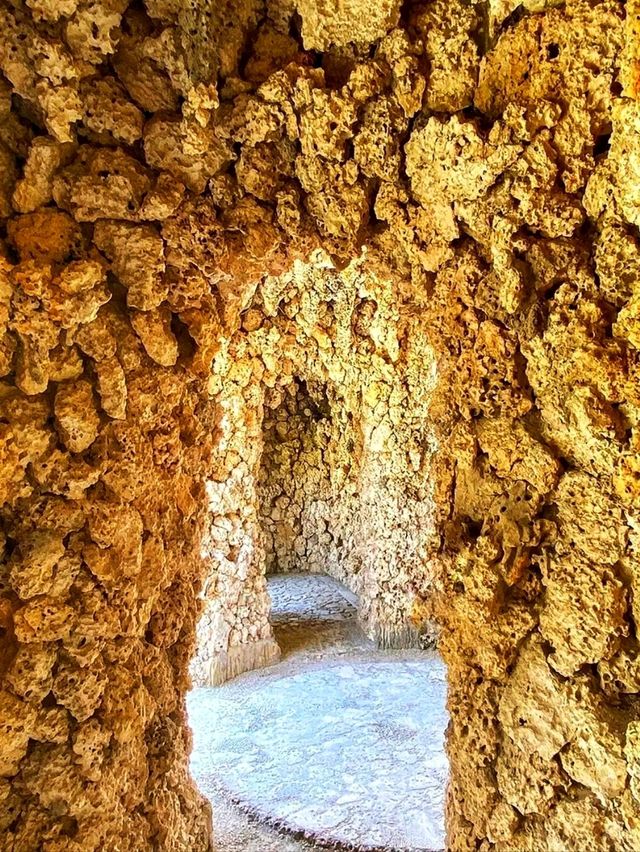 🏛️ Vizcaya Museum & Gardens – Miami’s Timeless Treasure 🌸