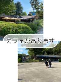 【東京都上野🇯🇵 上野恩賜公園】美術館や動物園に行くもよし‼️カフェでまったりするもよし☺️