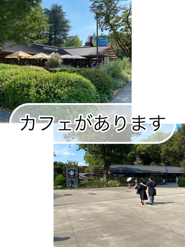 【東京都上野🇯🇵 上野恩賜公園】美術館や動物園に行くもよし‼️カフェでまったりするもよし☺️