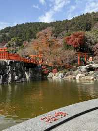 大阪近郊紅葉靚景（期間限定）