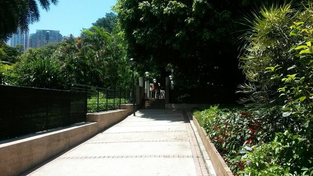 Kowloon Park -HK