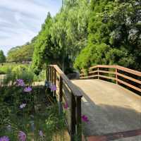 청산수목원, 태안 바닷길 속 숲의 쉼터 🌿