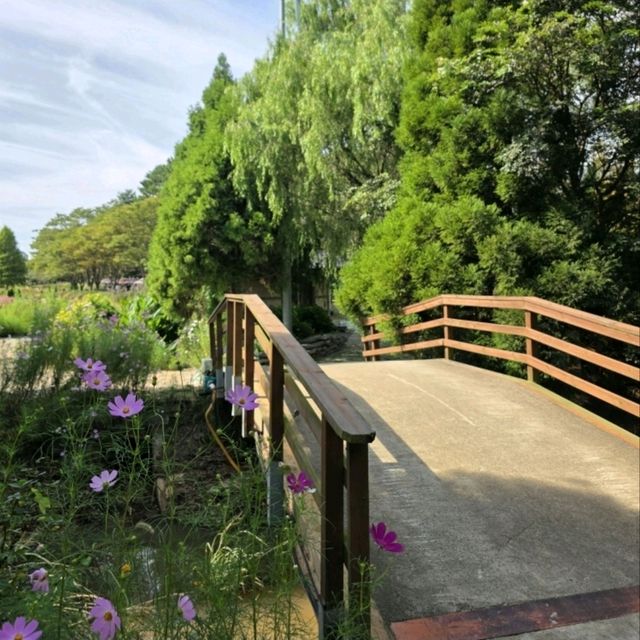 청산수목원, 태안 바닷길 속 숲의 쉼터 🌿