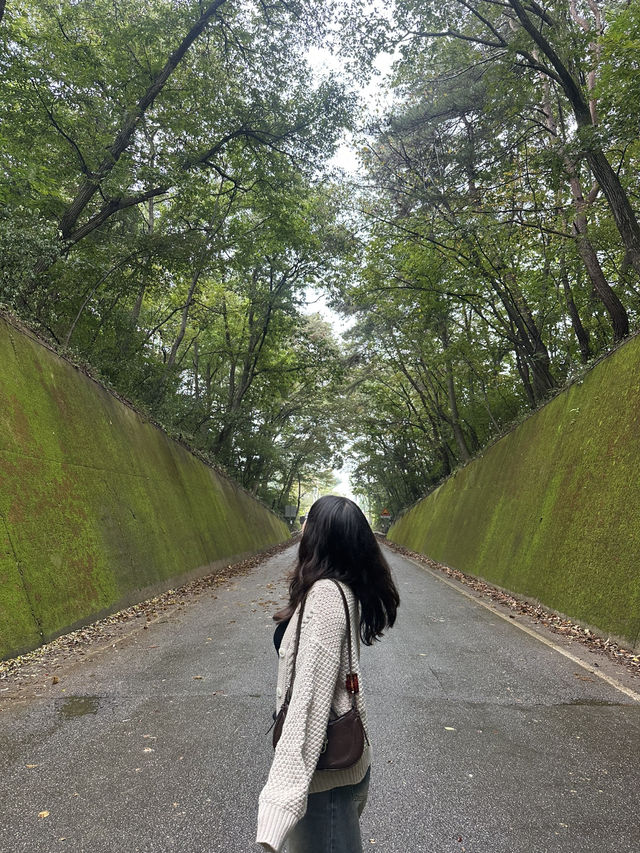 📍 단양 감성여행 코스