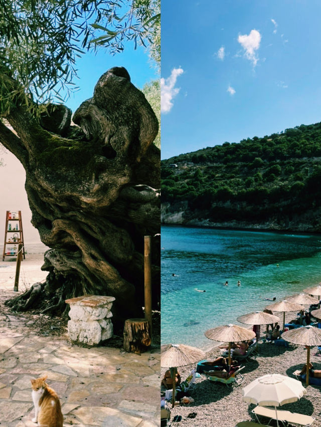 하늘과 바다가 만나는 곳, 나바지오 해변의 황혼