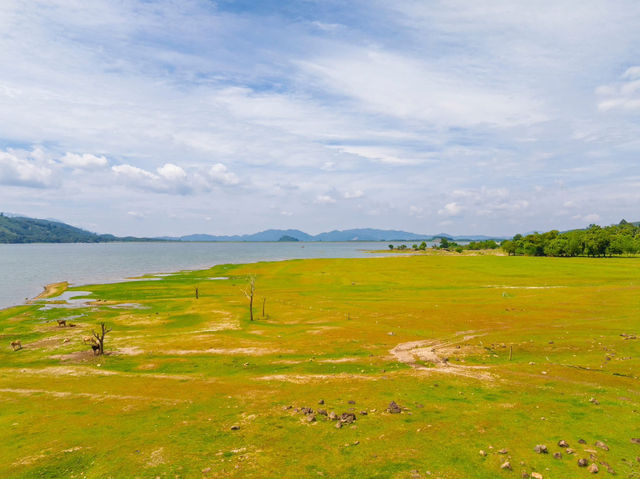 🌱🌾พิปูน นครศรีธรรมราช🌾🌱