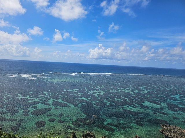 수영못함 미야코지마