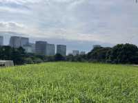 the Imperial Palace East Gardens