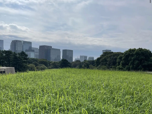 the Imperial Palace East Gardens the Imperial Palace East Gardens
