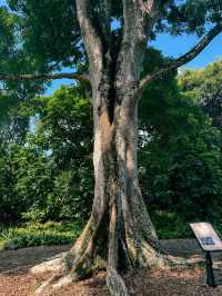 新加坡 4日3晚 游