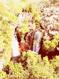 🌊 🇦🇺 Some waterfall you must Visit: Florence Falls: Dive into Darwin's Tropical Paradise! 🏊‍♂️