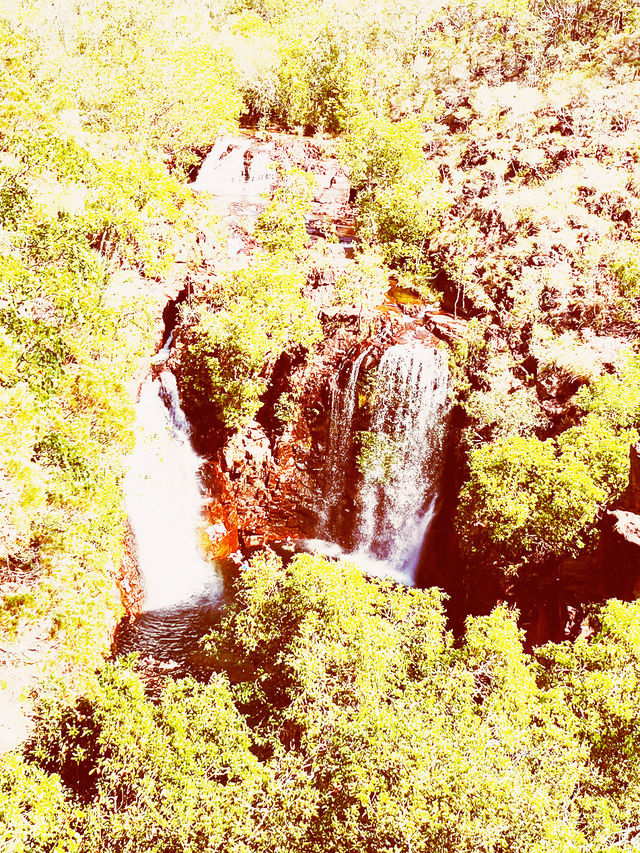 🌊 🇦🇺 Some waterfall you must Visit: Florence Falls: Dive into Darwin's Tropical Paradise! 🏊‍♂️
