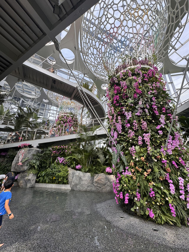 Shanghai’s Dreamy Greenhouse Escape 🌿✨