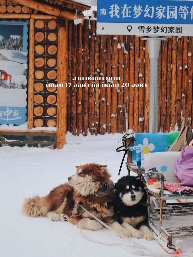 เที่ยวหมู่บ้านหิมะสัมผัสอากาศหนาวติดลบ 20 องศา