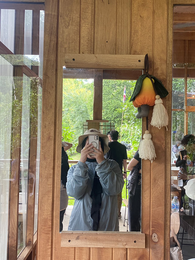 อาบป่า คาเฟ่ Tuy pal Relax อาบป่า คาเฟ่ Tuy pal Relax