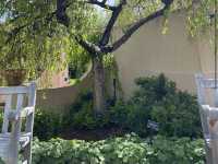 Denver Botanic Gardens