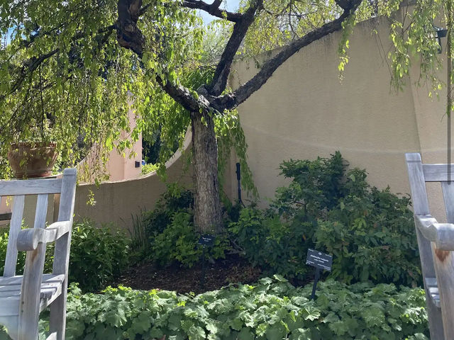 Denver Botanic Gardens
