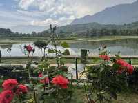 Jawaharlal Nehru Memorial Botanical Gardens