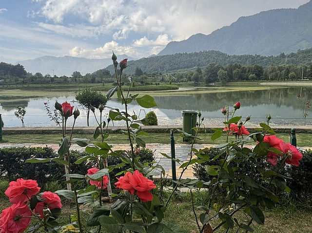 Jawaharlal Nehru Memorial Botanical Gardens Jawaharlal Nehru Memorial Botanical Gardens